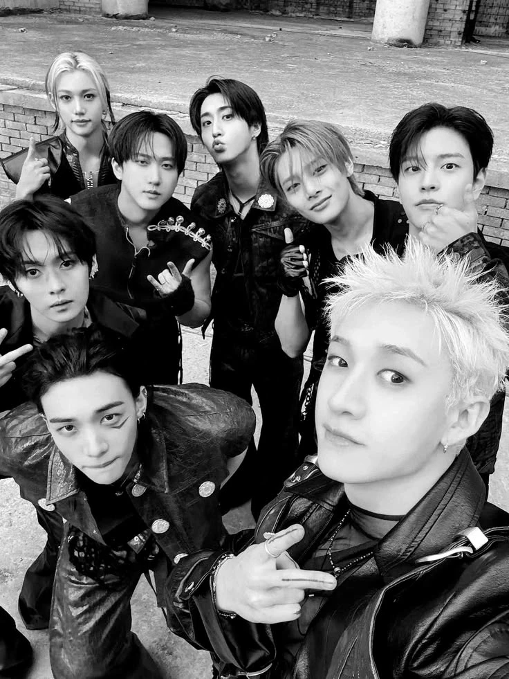 STRAY KIDS \| Ninth member thumbnail