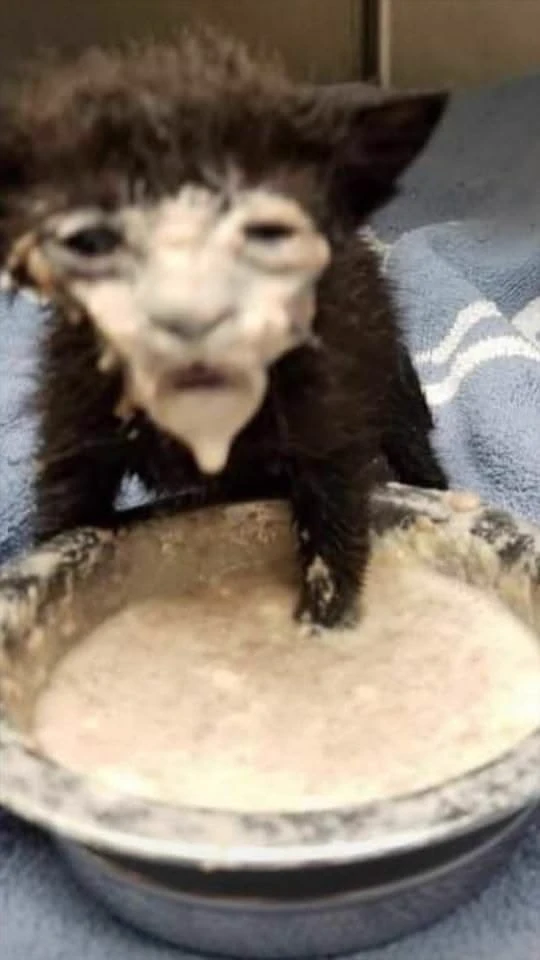 Come up with a story 💘 :\] thumbnail