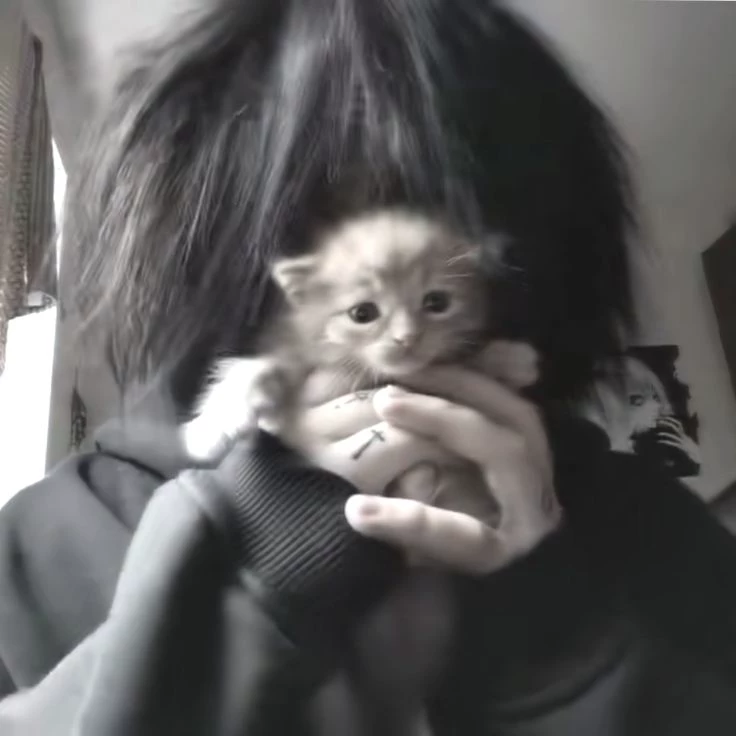 Kira. Nefor thumbnail