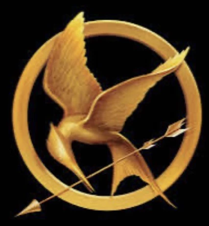 Peeta x Katniss thumbnail