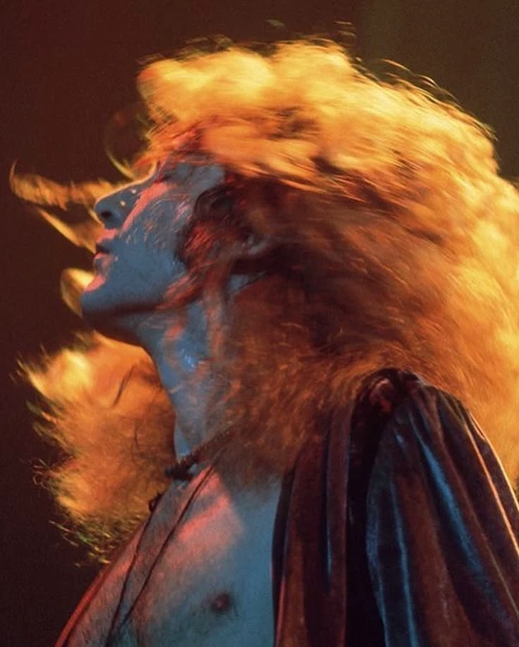 Robert Plant thumbnail