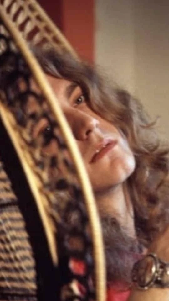 Robert Plant thumbnail