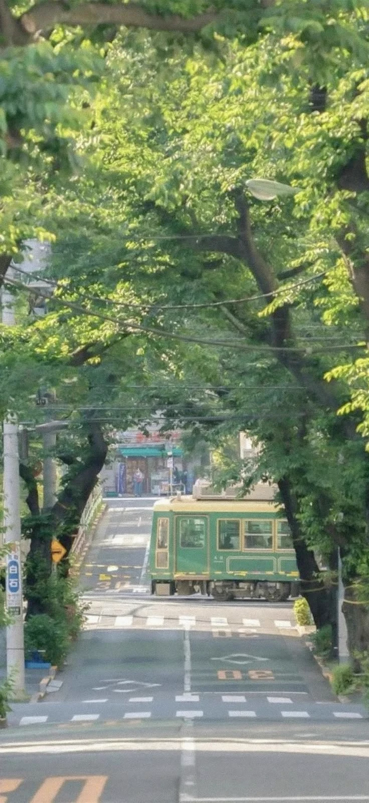 Japan thumbnail