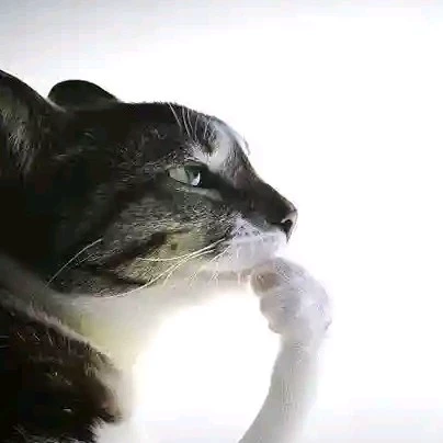 Kurai