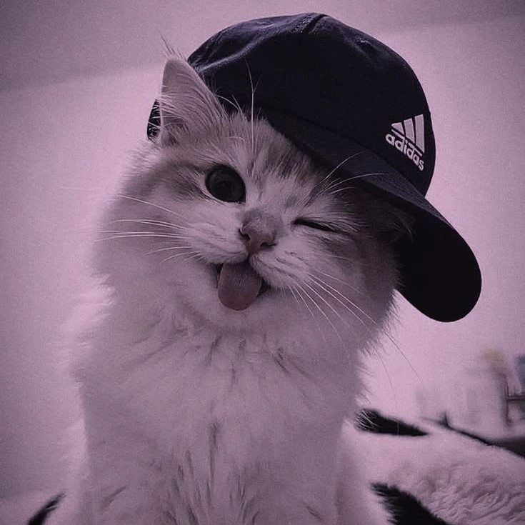 Luluzinha