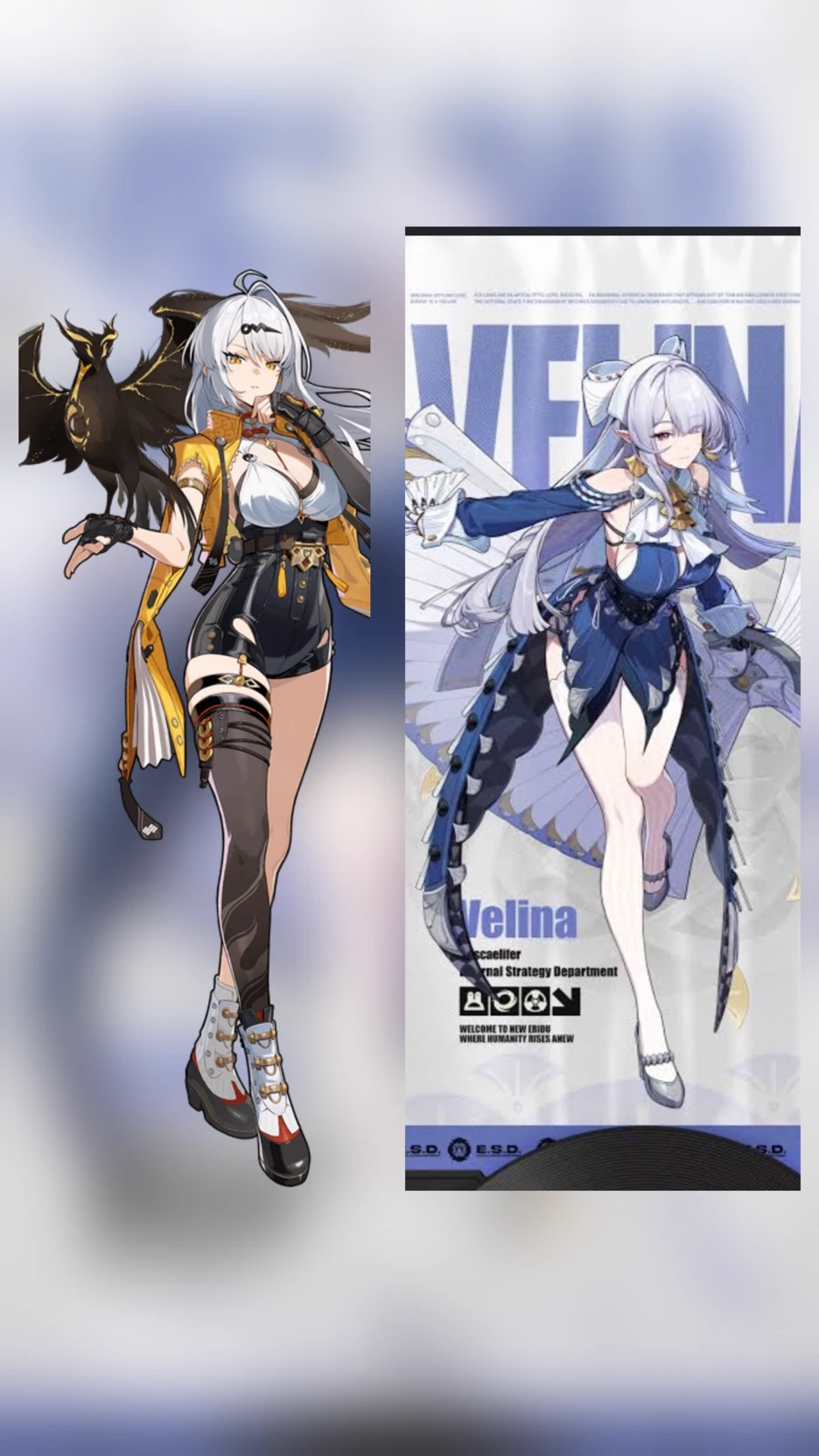 Yixuan and Velina thumbnail