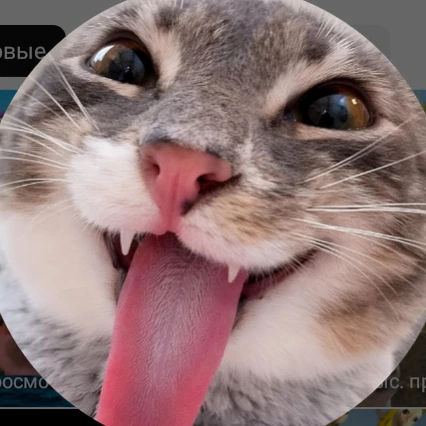 Майк
