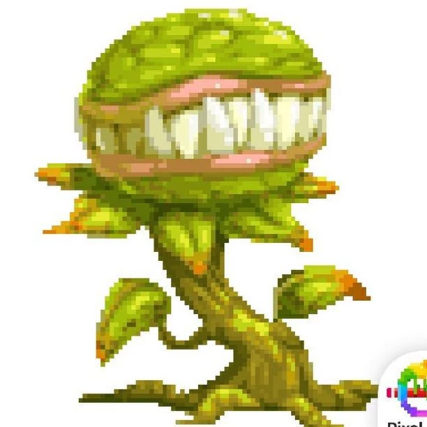 Mandragora Noturna thumbnail