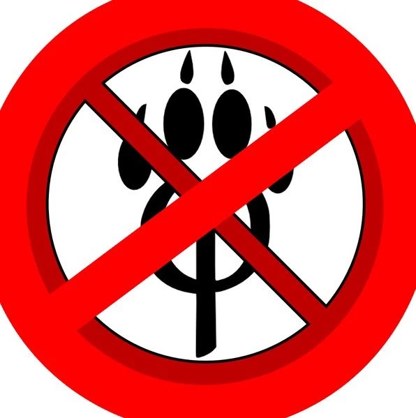 Daniel - Anti-furry thumbnail