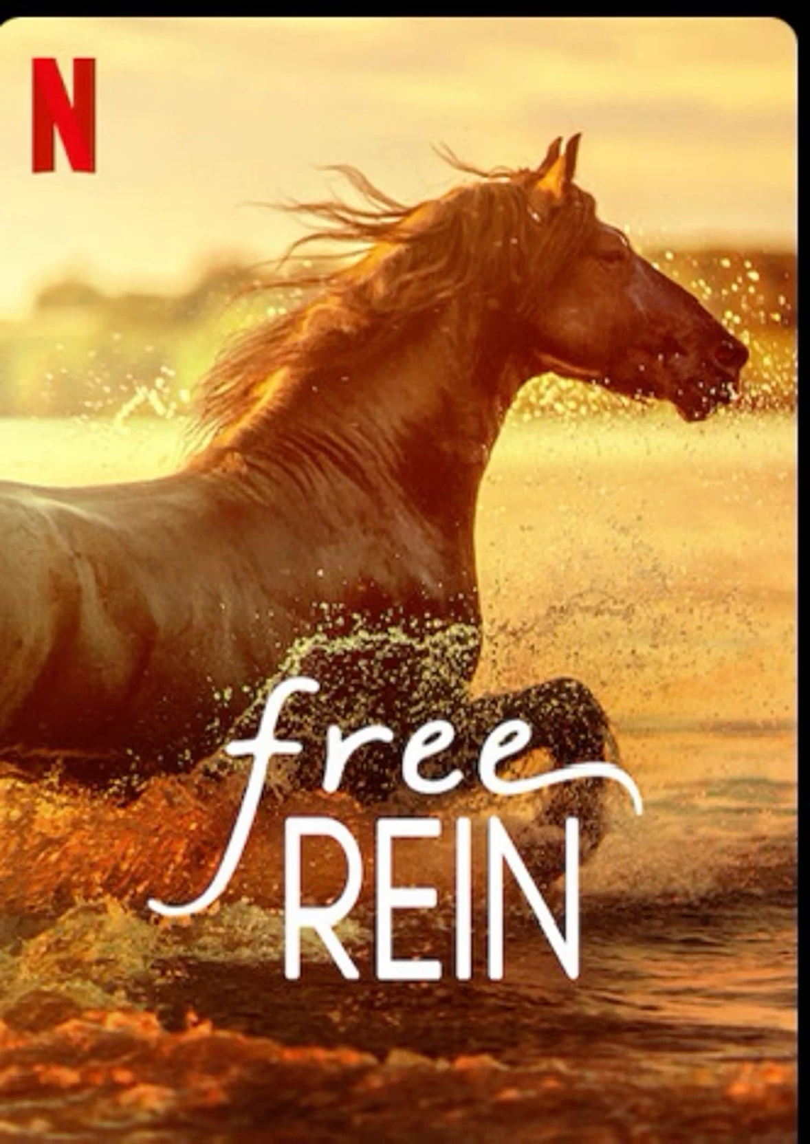 Free Rein thumbnail