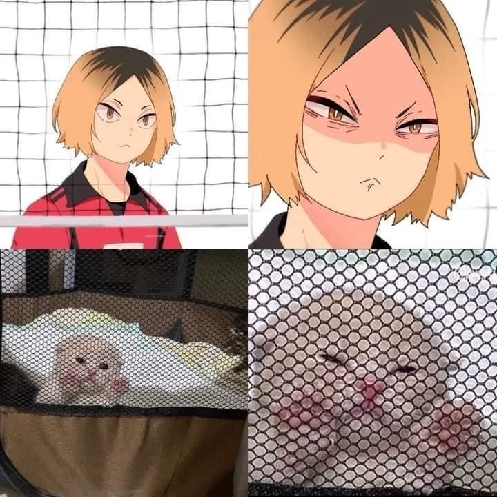 Kenma Kozume thumbnail