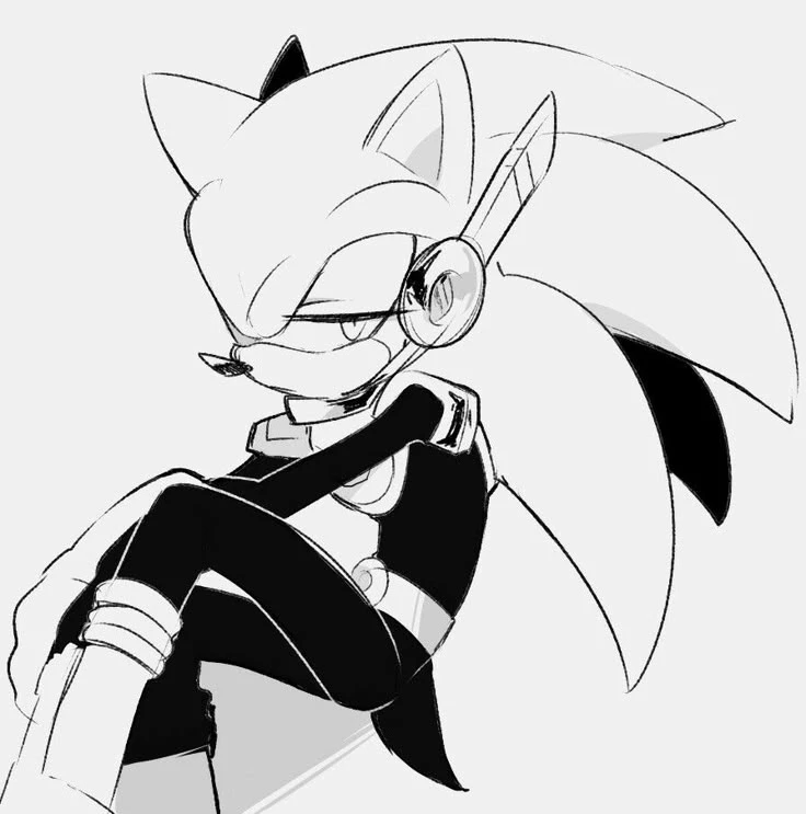 Zonic The Hedgehog - Zone cop thumbnail