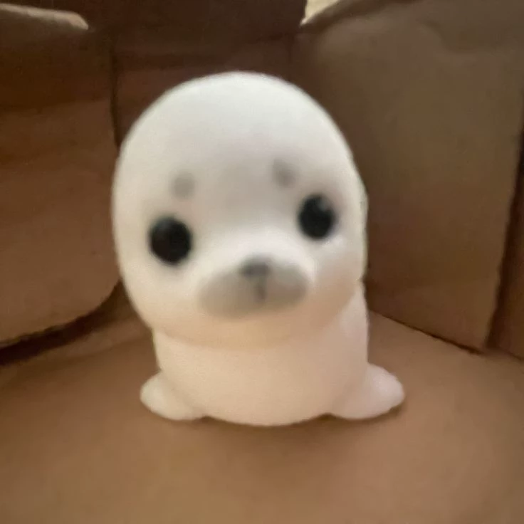 Zizi