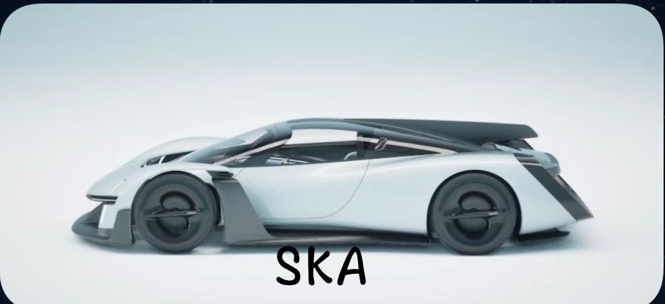 SKa (Smart Key autotronica thumbnail