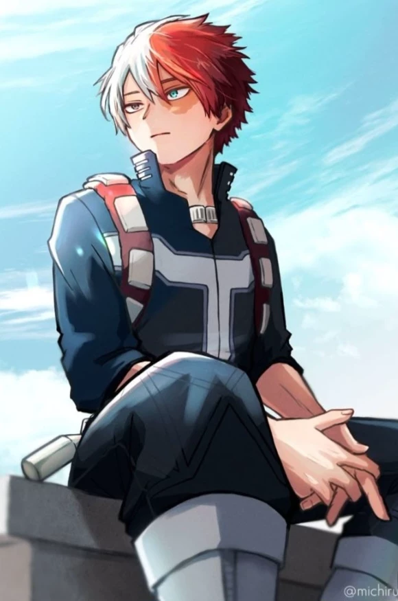 Shoto Todoroki  thumbnail