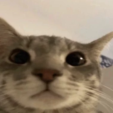 Keikooo