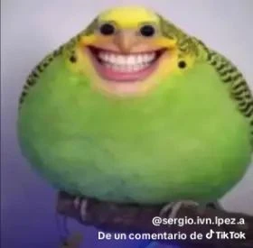 duolingo XDD thumbnail