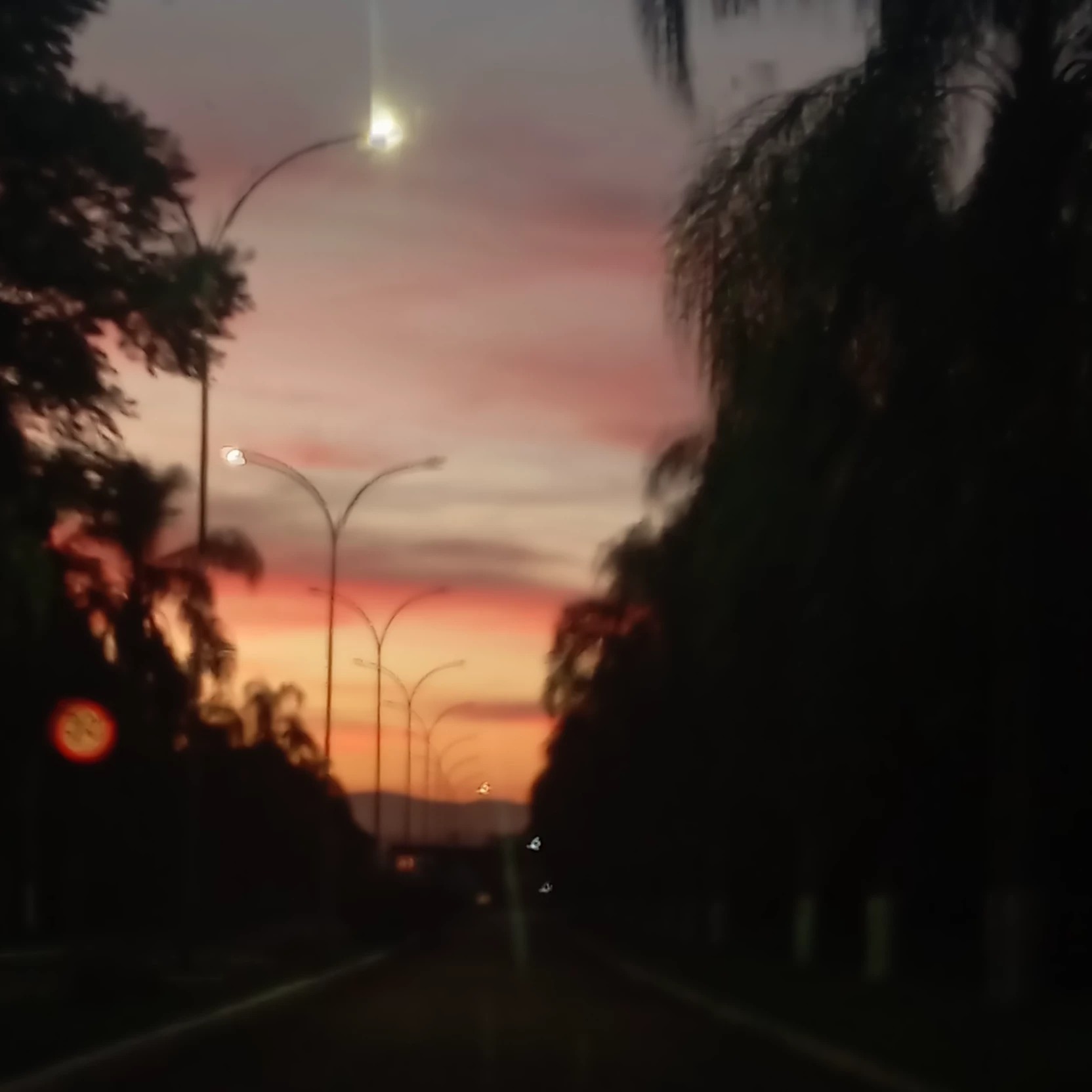 Diun