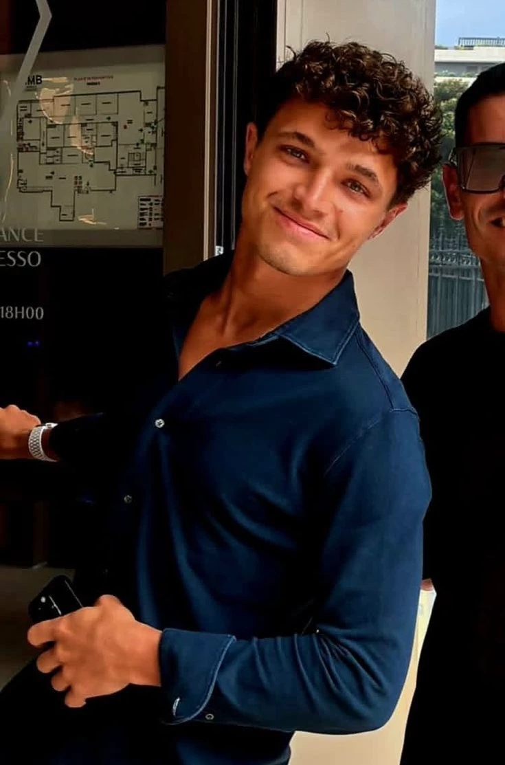 Lando Norris (Ex'es to lovers💋) thumbnail