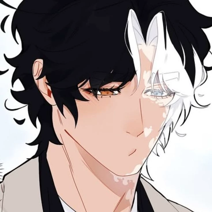 tomo shido