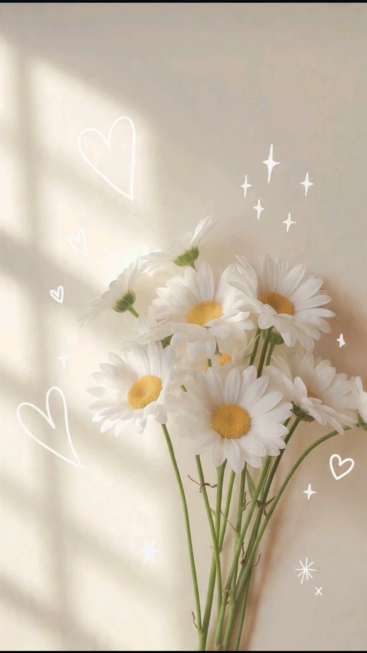 🎐"` °°°make your story °°° `"✨️ thumbnail