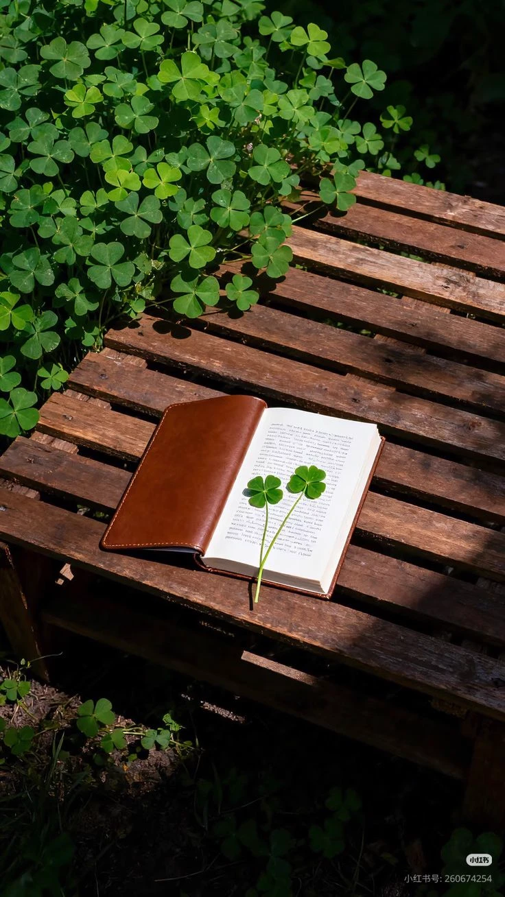 *｡･+(☘️for your story⚘️)+･｡* thumbnail