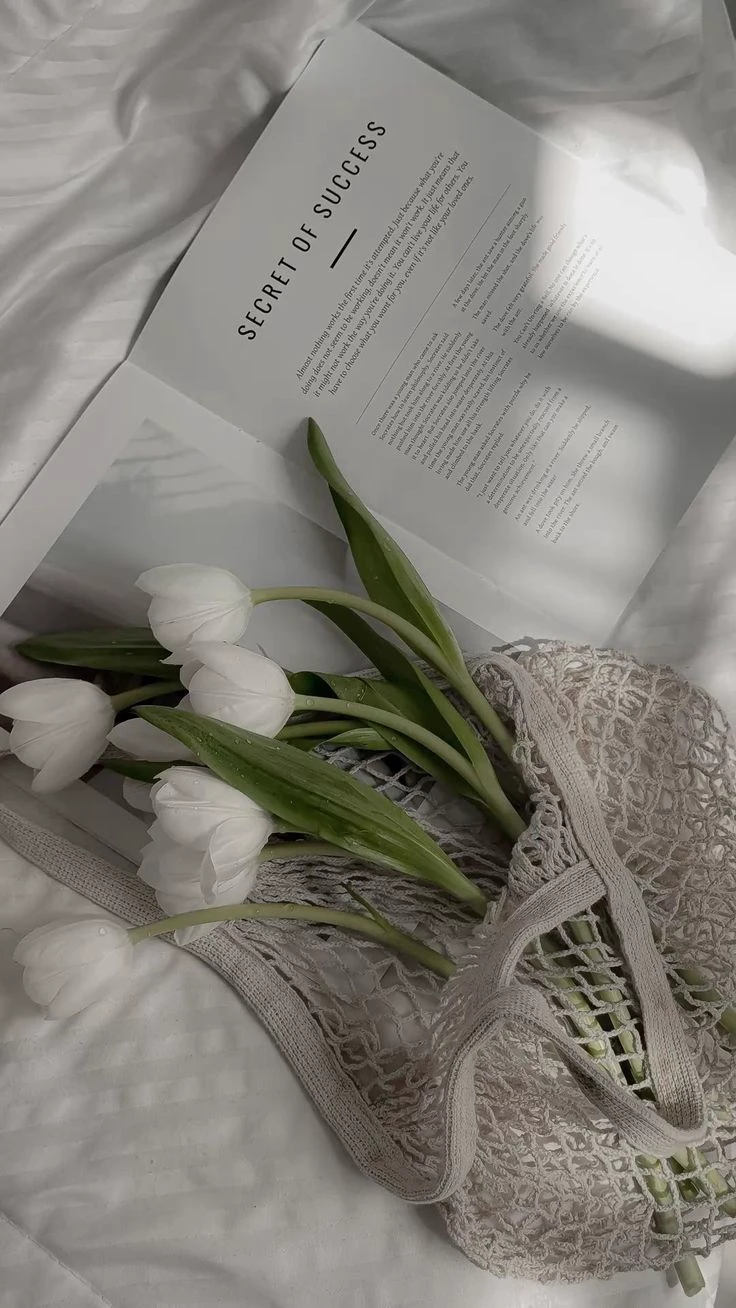 🌸°°° ` make your story ` °°°🌸 thumbnail