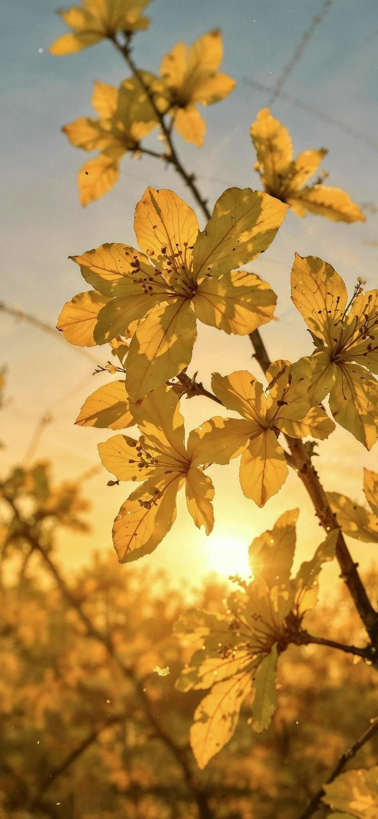 🏵◇"°°°make your story °°°"◇🌼 thumbnail
