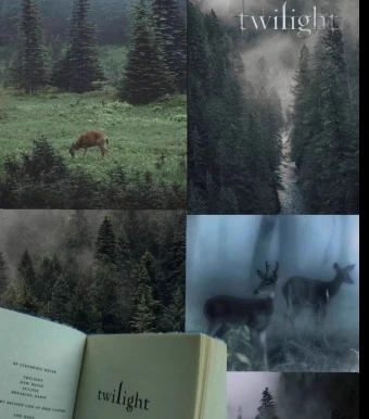 Twilight thumbnail