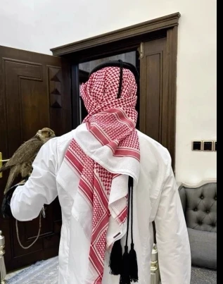 Mohamed Abdel Omar thumbnail