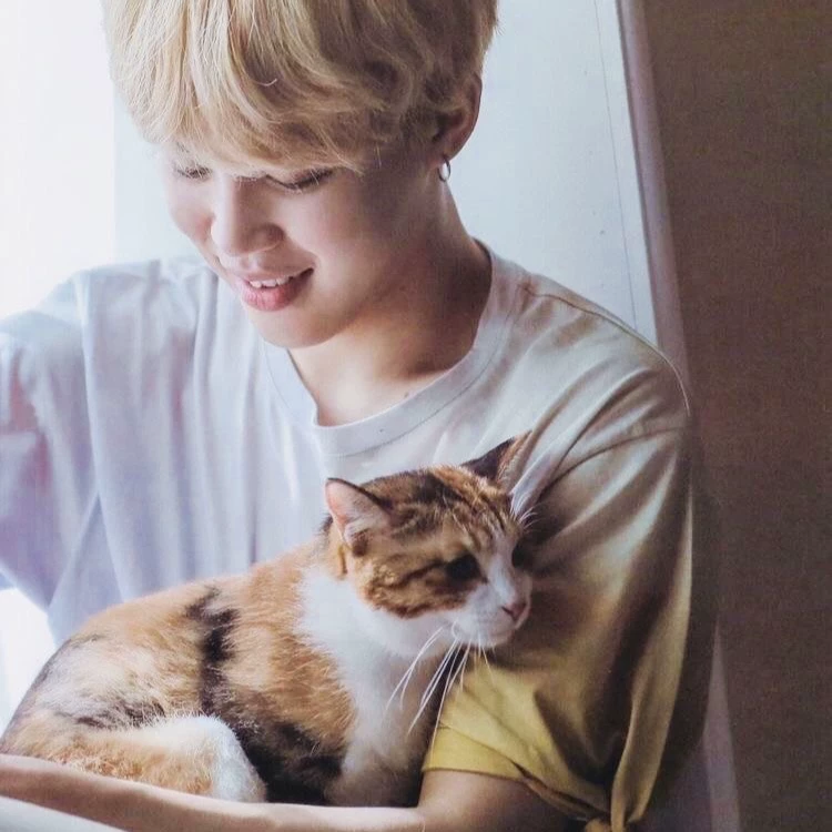 Jimin thumbnail