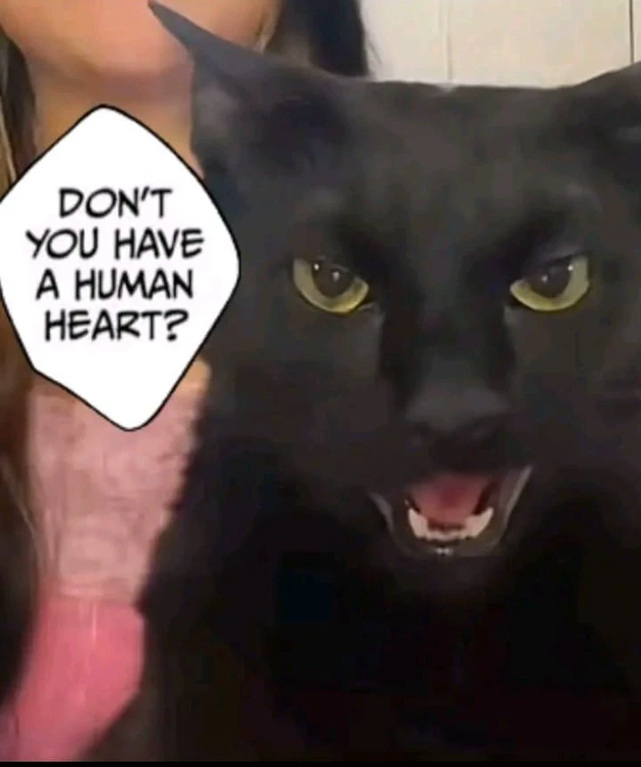 zzz thumbnail