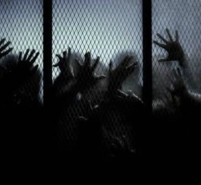 Zombie Outbreak thumbnail