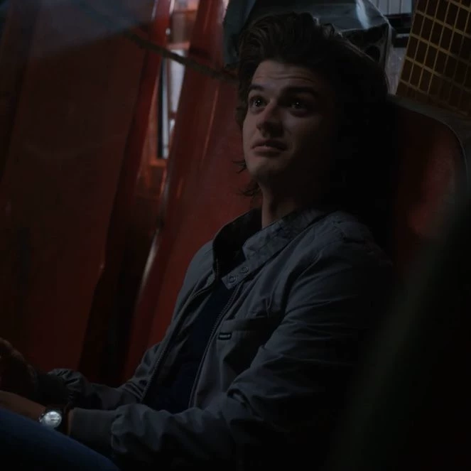 05 Steve Harrington thumbnail