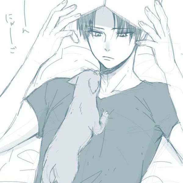 Levi thumbnail