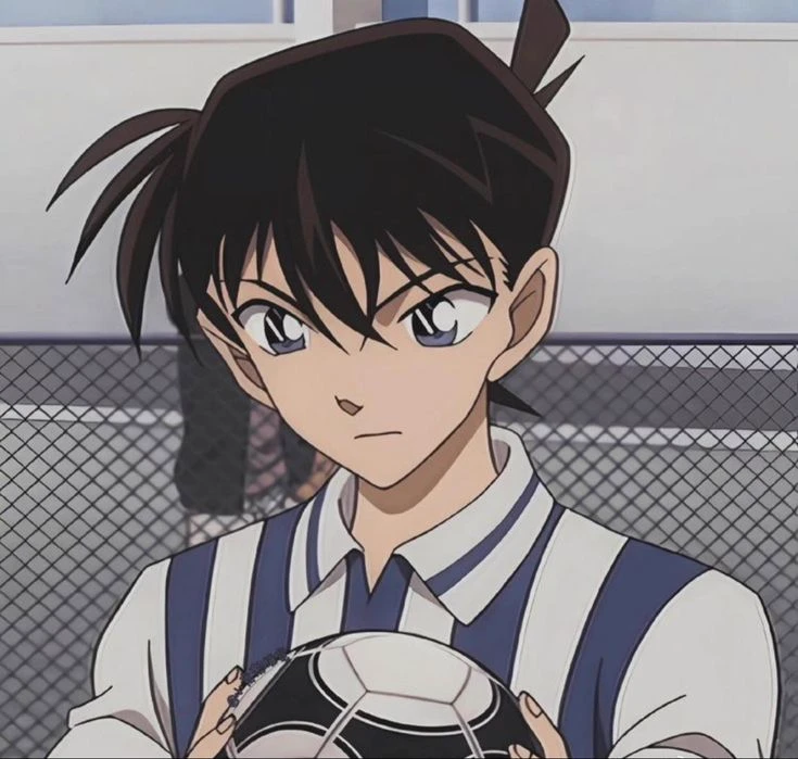 Shinichi Kudo  thumbnail