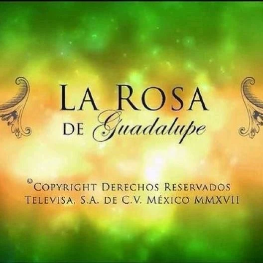 Rosa de Guadalupe Blue Lock thumbnail