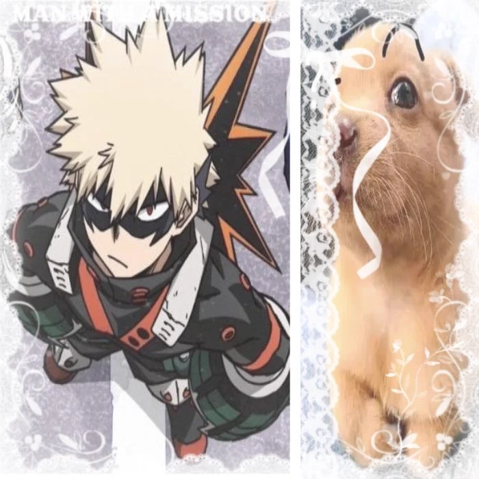 ¡KATSUKI BAKUGO! ૮ ˶ˆ ع ˆ˶ ა thumbnail