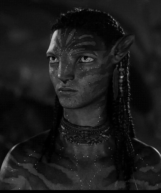 NETEYAM SULLY thumbnail