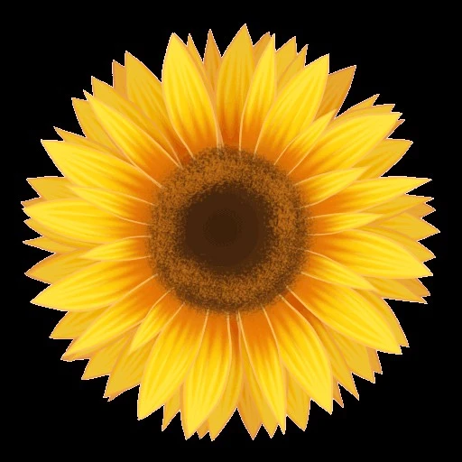 🌻FL0W3R B0Y🌻 🇦🇷