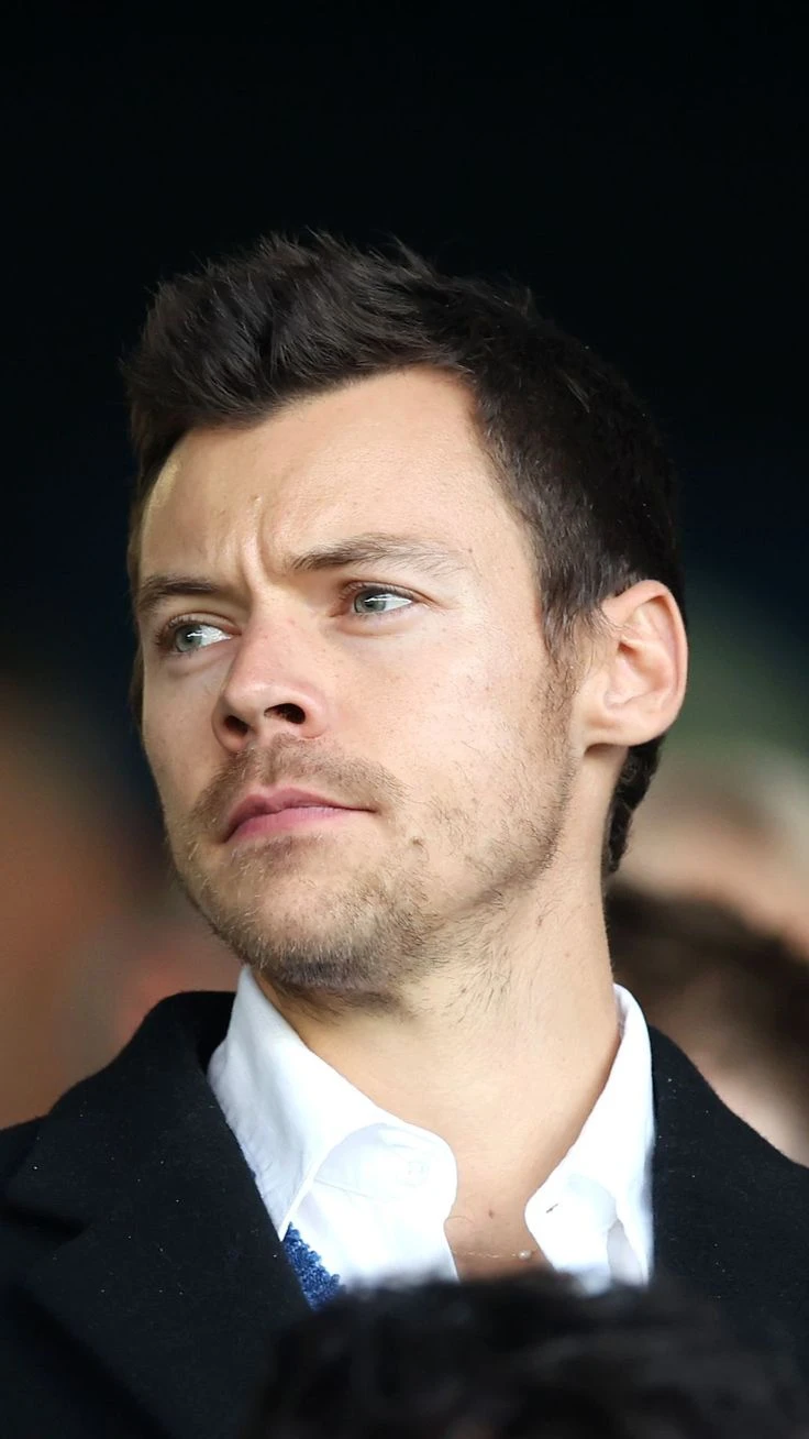 Harry Styles - husband thumbnail