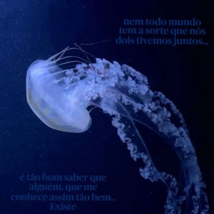 Usuário 