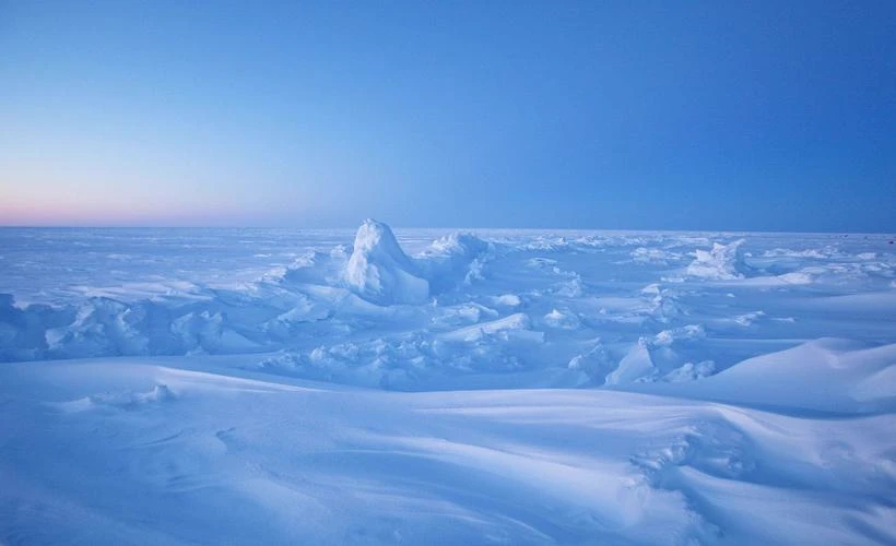survival in the Arctic thumbnail