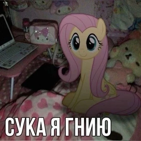 Хикари