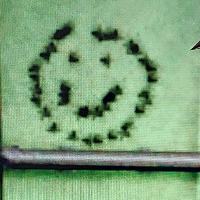 Hua