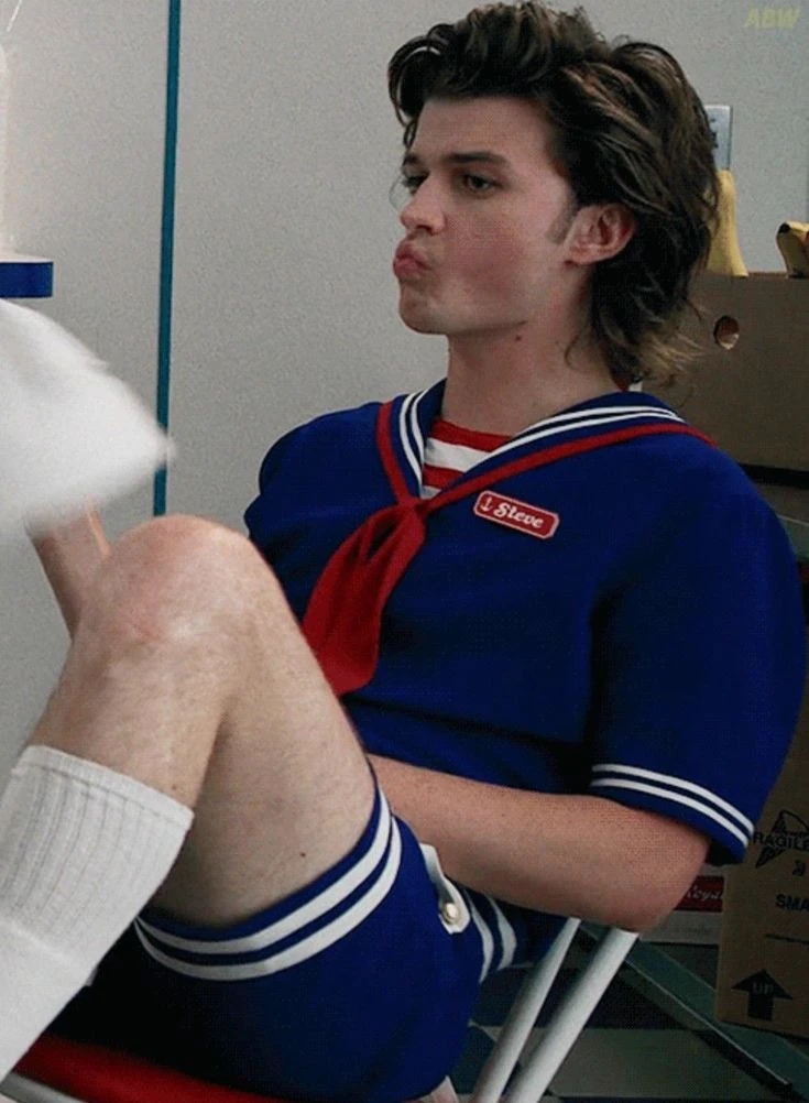 Steve Harrington thumbnail