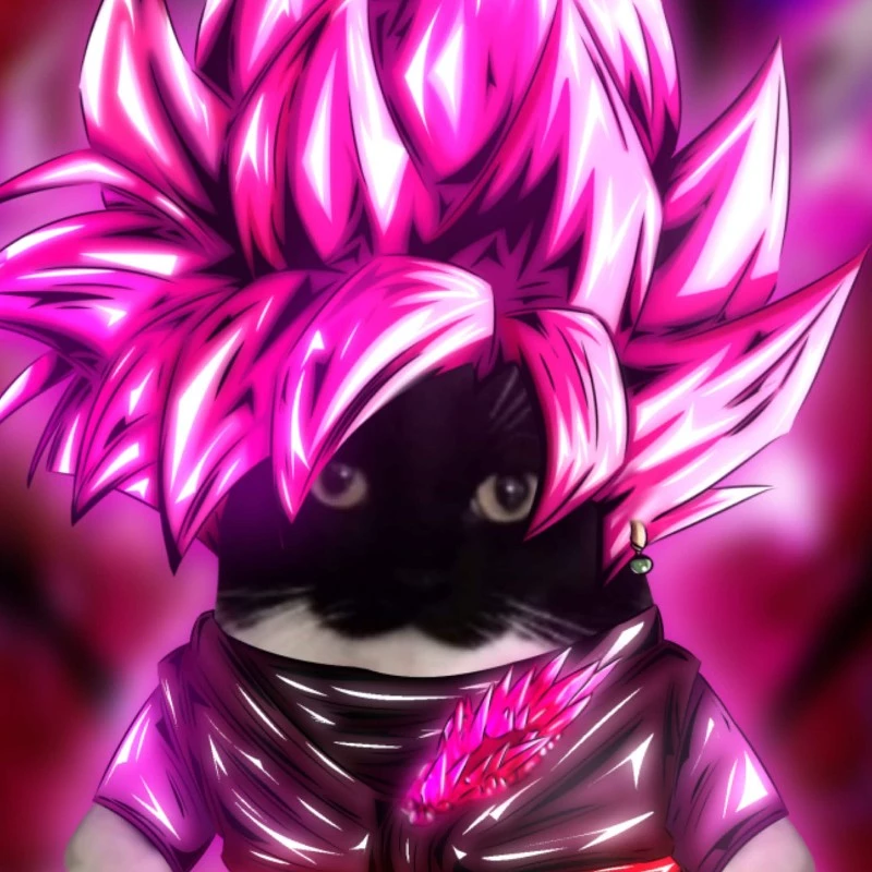 Reiden