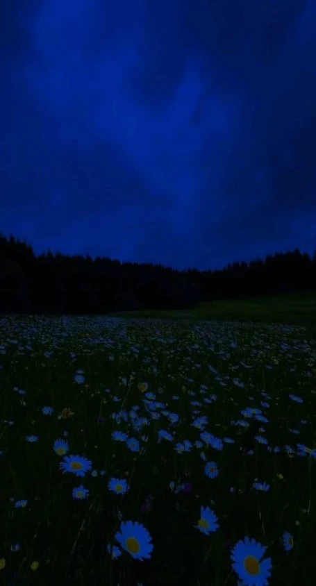 ★create your story (part 2) thumbnail