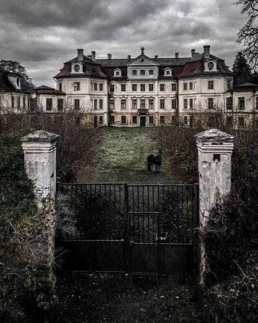 Orphanage "Happiness" thumbnail