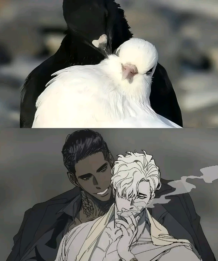 fast🕊️ thumbnail